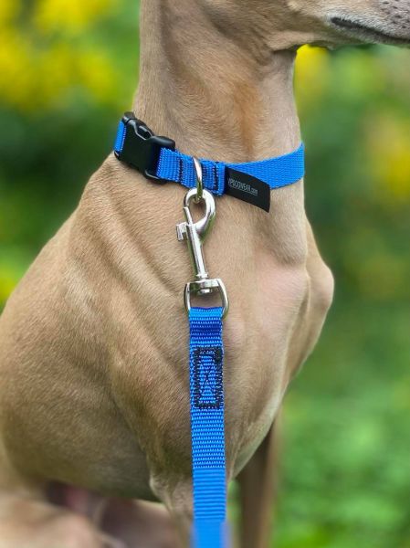Bilde av VIP Dogwear Mini halsbånd puppy Blue